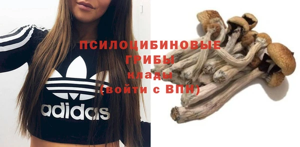 индика Балабаново