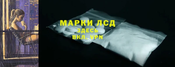 индика Балабаново