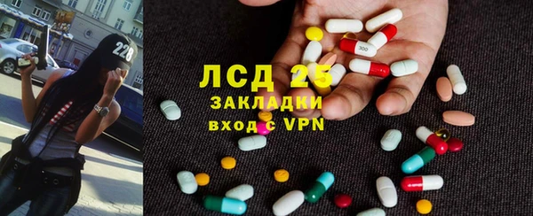 индика Балабаново