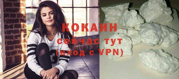 индика Балабаново