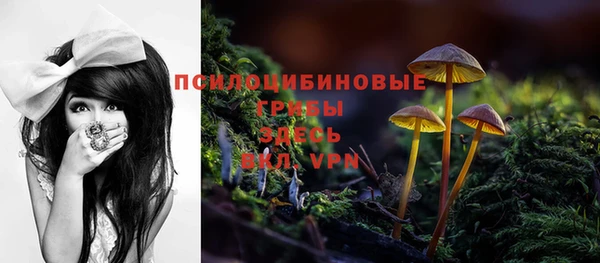 индика Балабаново