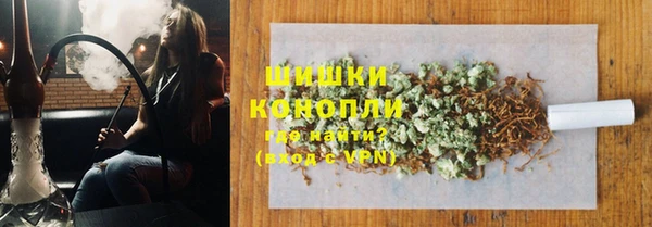 индика Балабаново