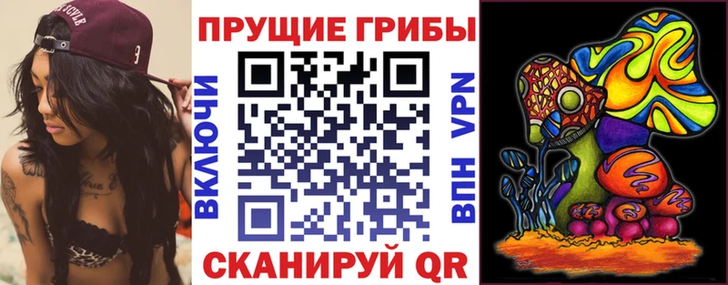 Купить где Зея Псилоцибиновые грибы мухоморы